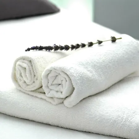 Jingtu Wellness &