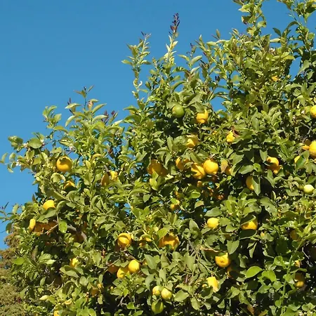 Jingtu Wellness & 3* Comares